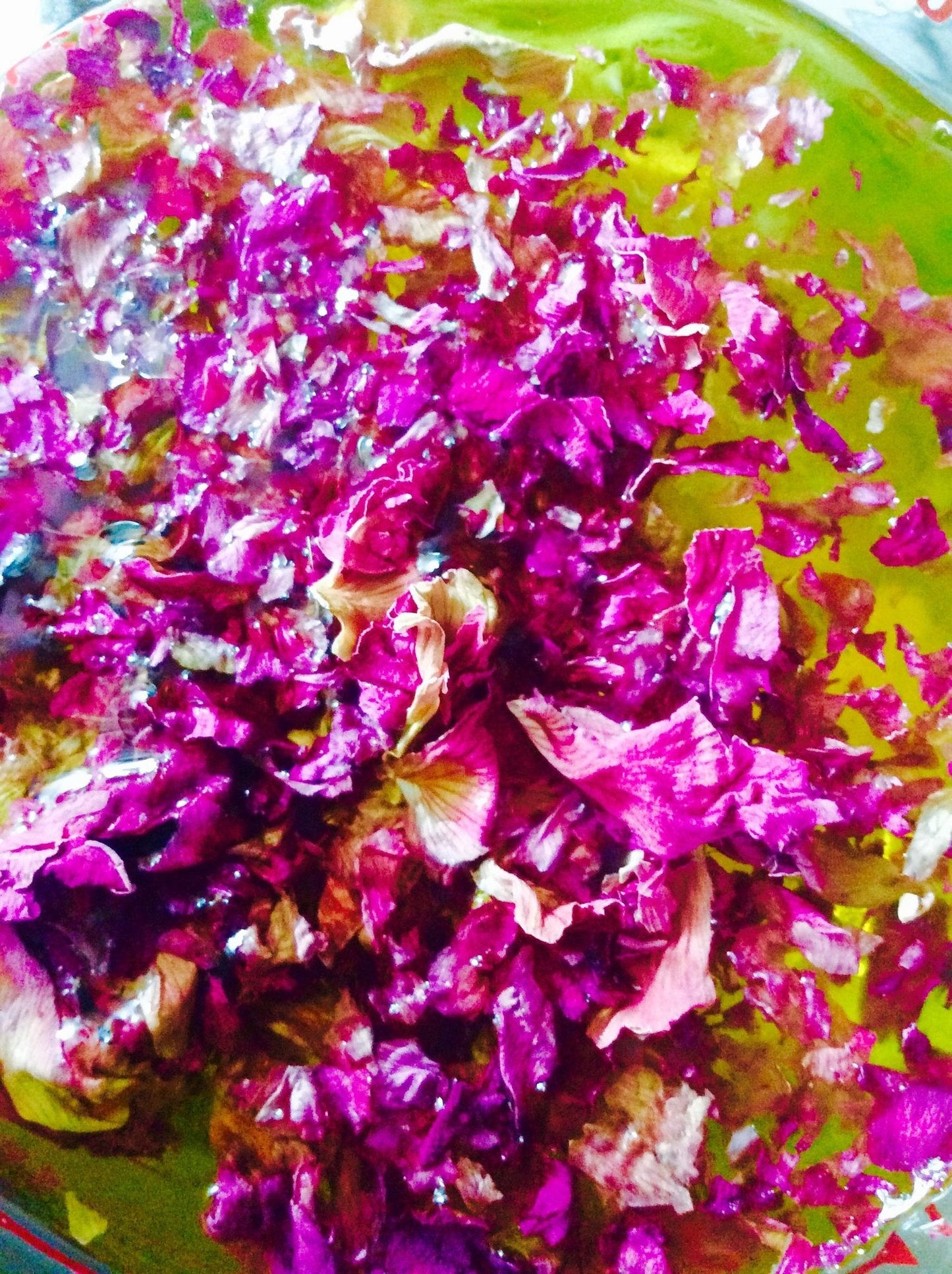 Makeup Primer // UNIVERSE-all Face + Body Balm - Concordia Style Boutique