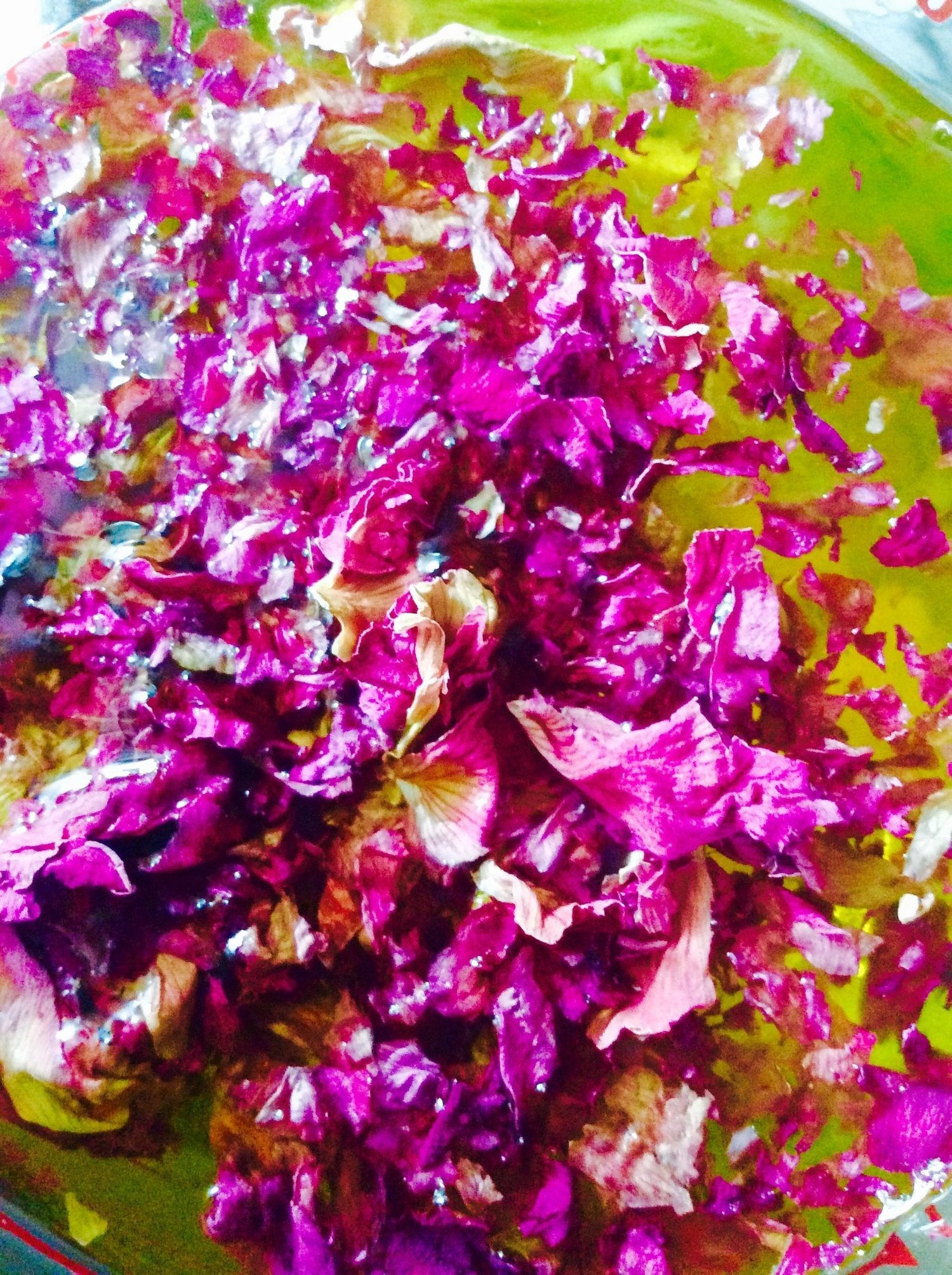 Makeup Primer // UNIVERSE-all Face + Body Balm - Concordia Style Boutique