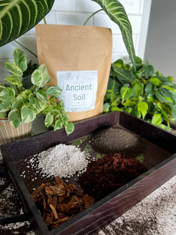 Ancient Soil: Organic Living Soil for Thriving Plants - Concordia Style Boutique
