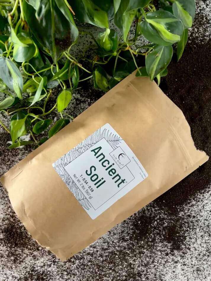 Ancient Soil: Organic Living Soil for Thriving Plants - Concordia Style Boutique