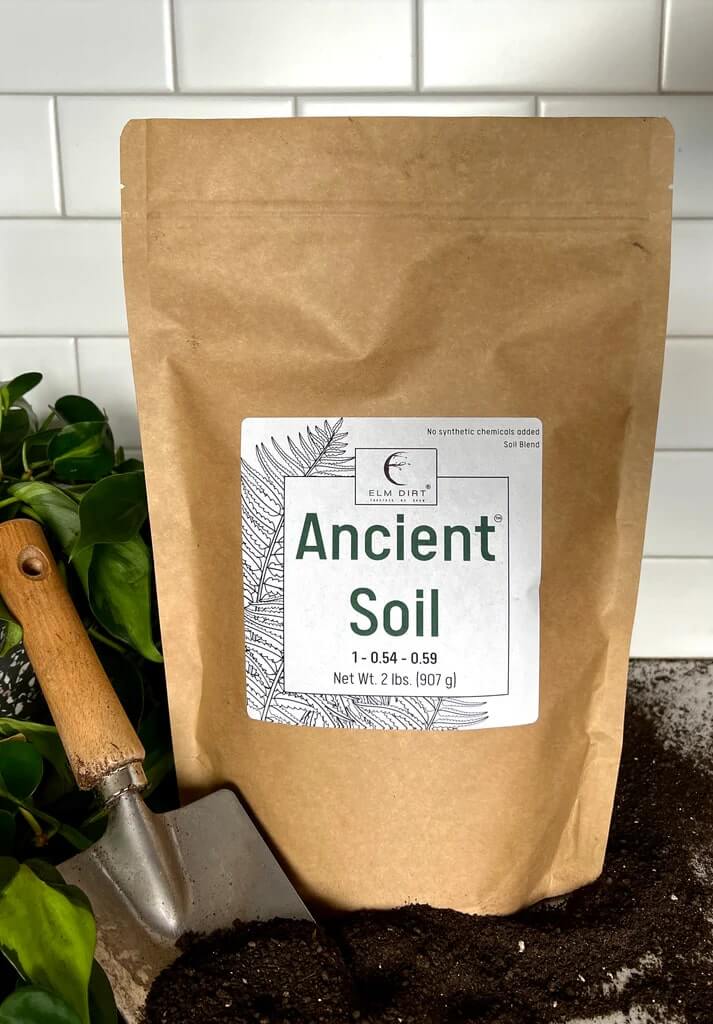 Ancient Soil: Organic Living Soil for Thriving Plants - Concordia Style Boutique