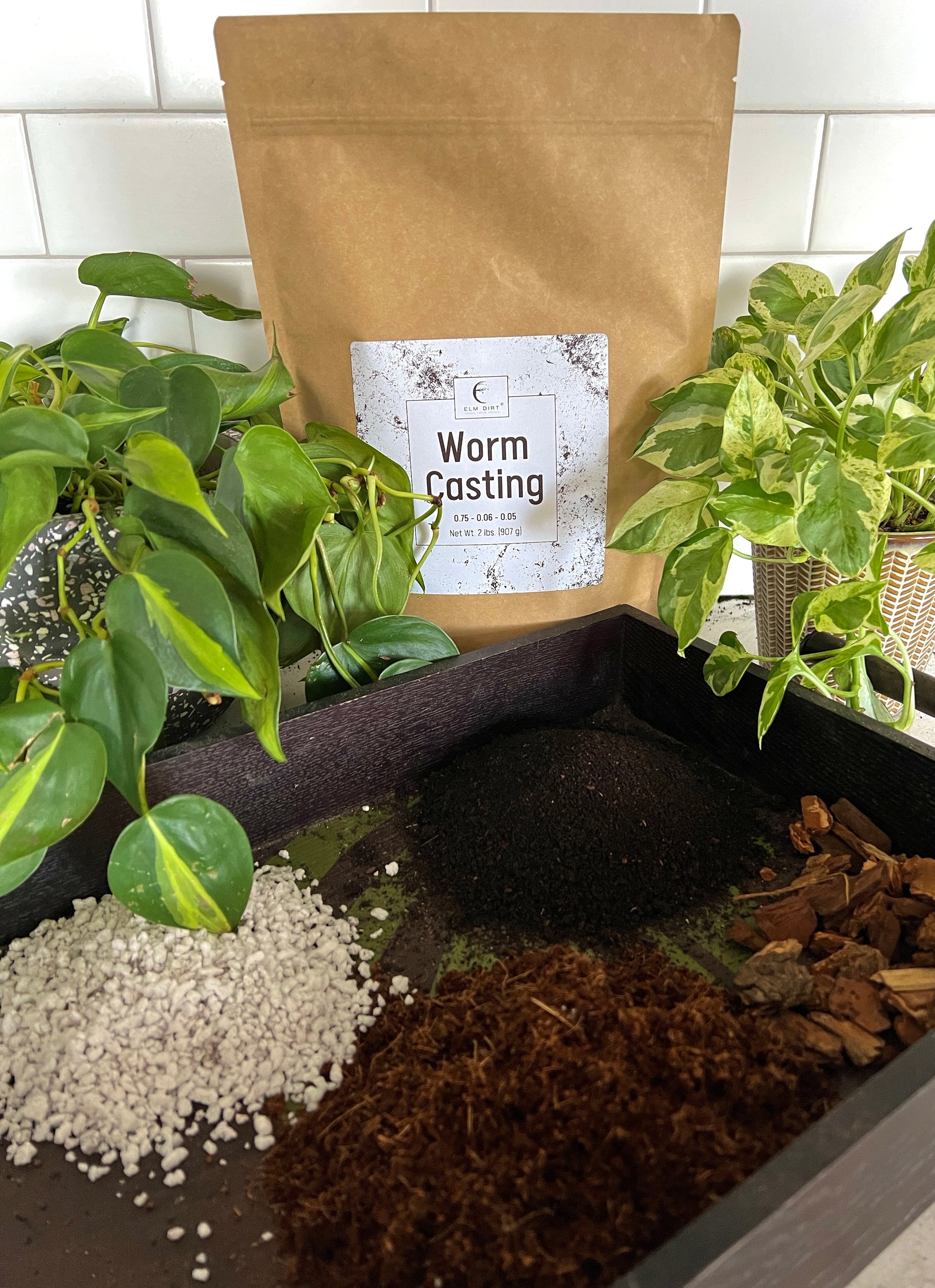 Worm Castings - Concordia Style Boutique