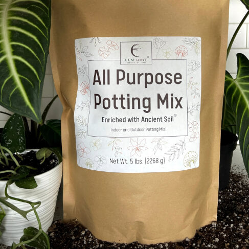 All-Purpose Soil Mix - Concordia Style Boutique