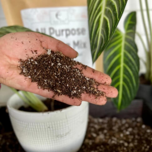 All-Purpose Soil Mix - Concordia Style Boutique