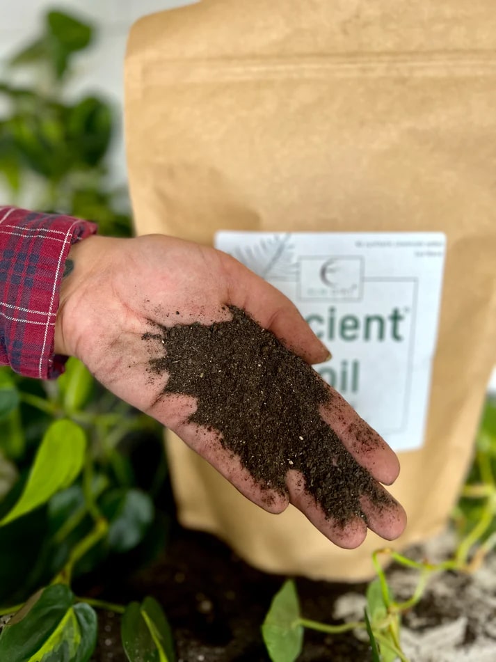 Ancient Soil: Organic Living Soil for Thriving Plants - Concordia Style Boutique