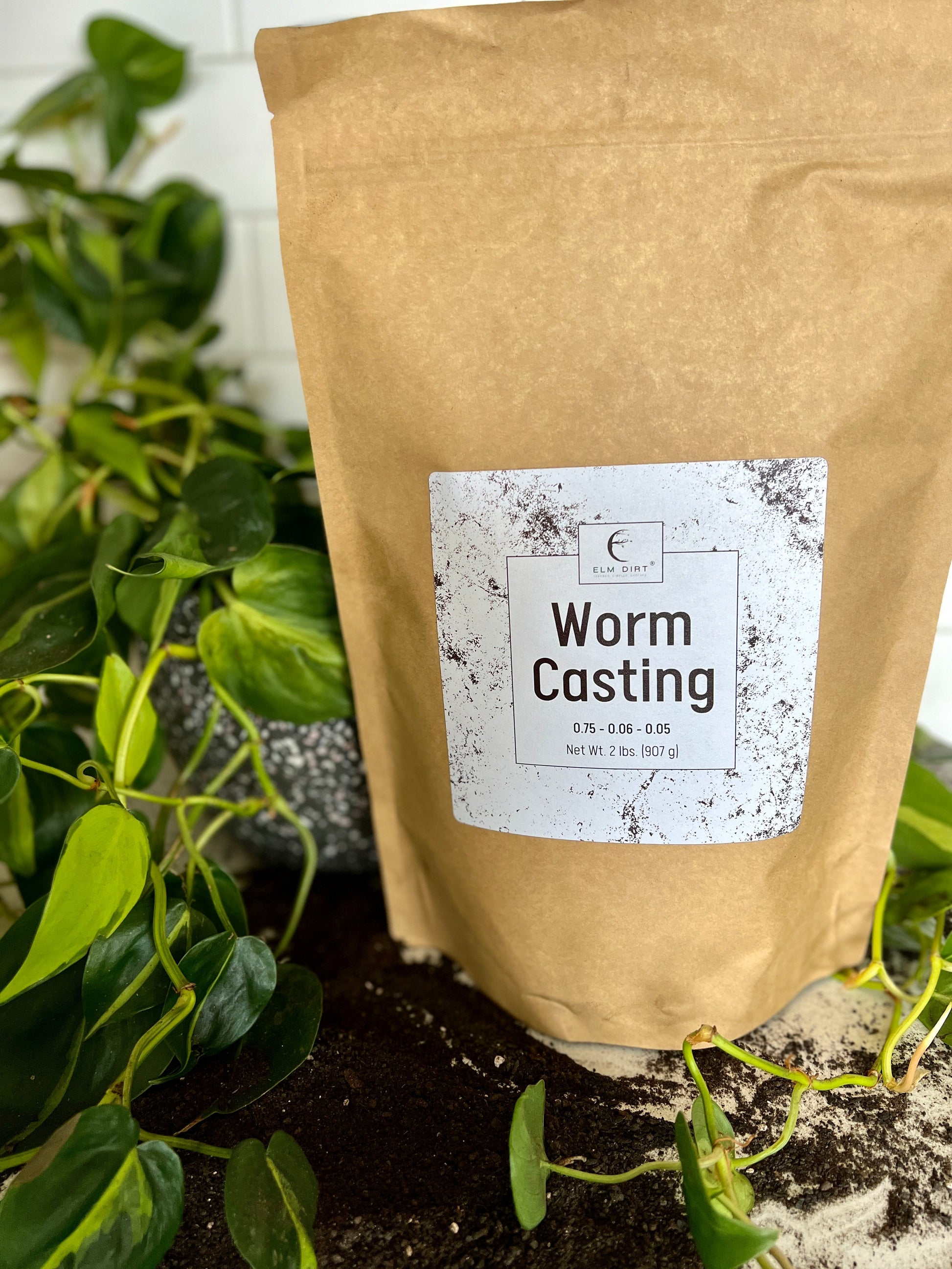 Worm Castings - Concordia Style Boutique