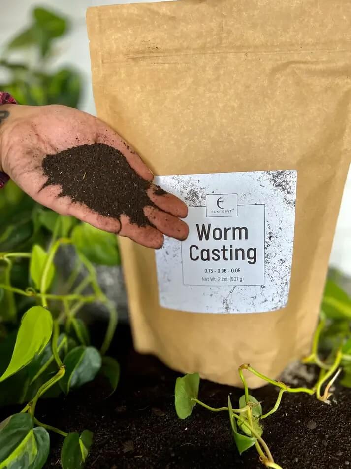 Worm Castings - Concordia Style Boutique