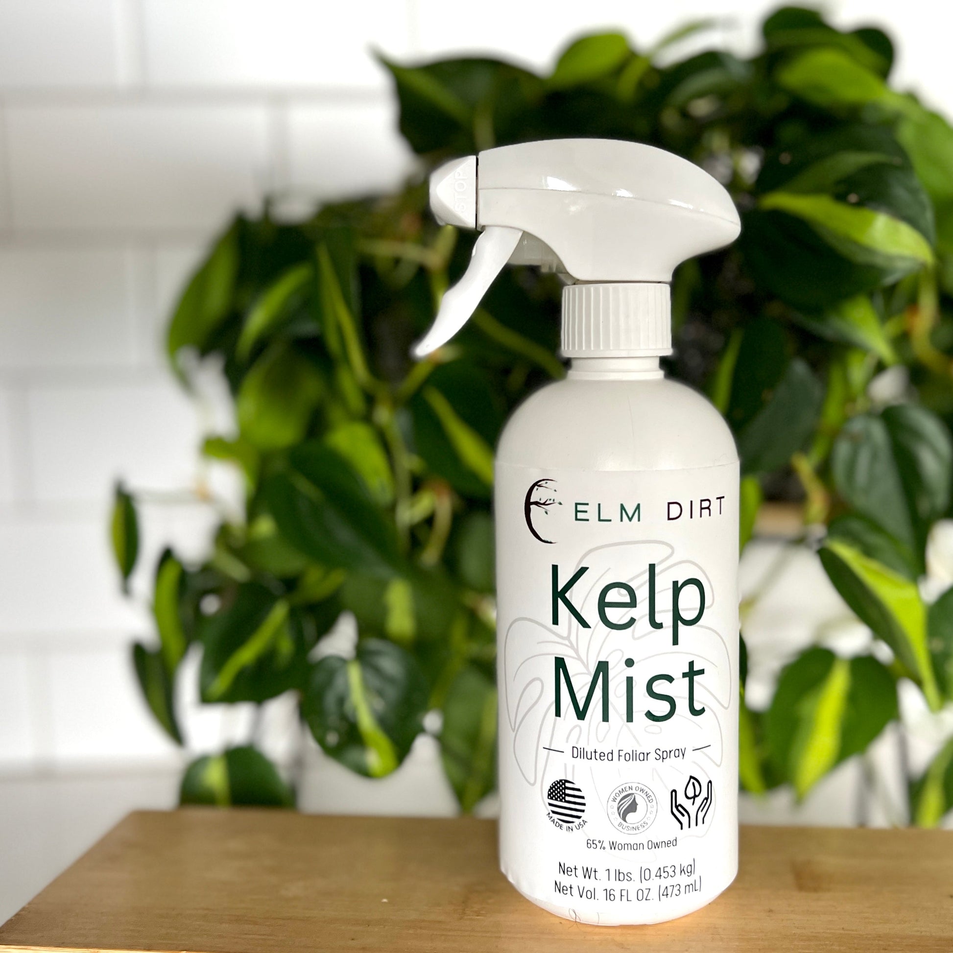Kelp Mist - Concordia Style Boutique