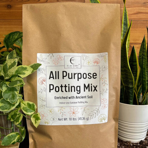All-Purpose Soil Mix - Concordia Style Boutique
