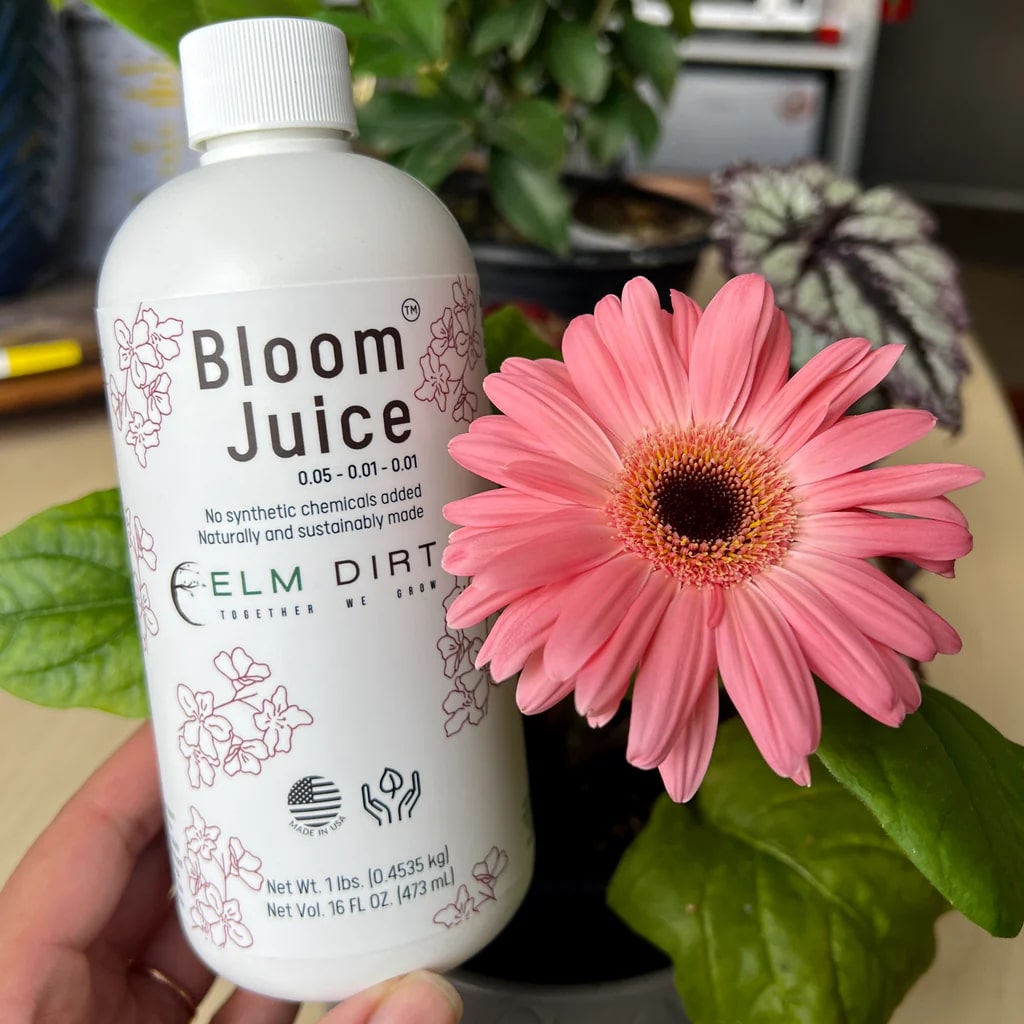 Bloom Juice - Our Award-Winning Formula for Spectacular Flowers - Concordia Style Boutique