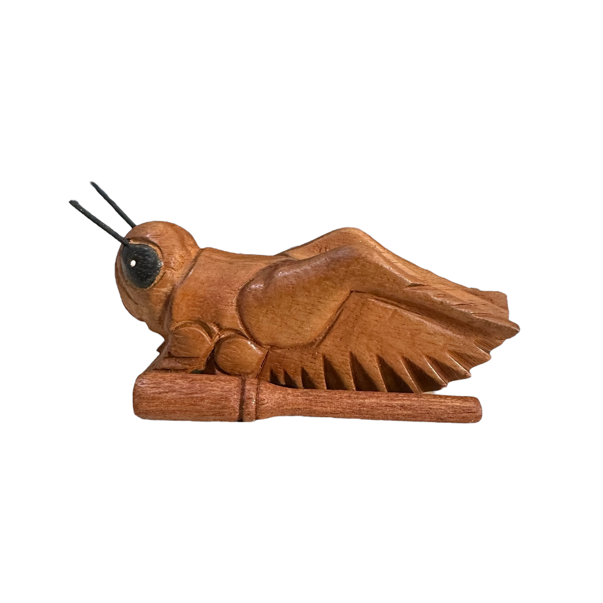4" Dark Stained Wooden Musical Grasshopper Percussion Instrument - Premium Wooden Percussion Cricket from Music Frog Co - Just $15! Shop now at Concordia Style Boutique