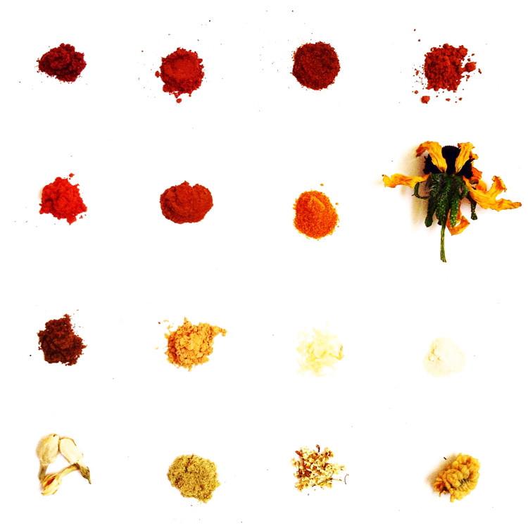 Turmeric Balm - Concordia Style Boutique