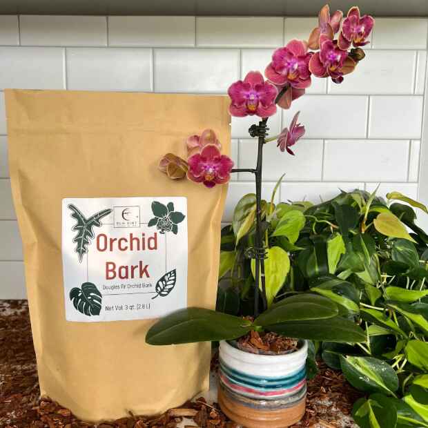 Orchid Bark - Concordia Style Boutique