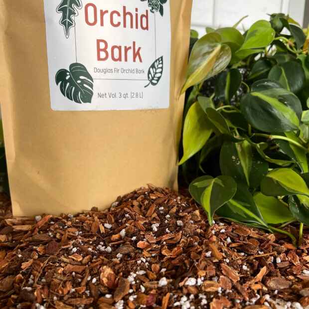 Orchid Bark - Concordia Style Boutique