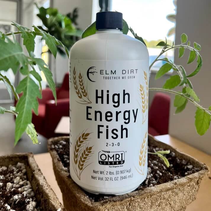 Hi-Energy Fish 2-3-0 - Concordia Style Boutique