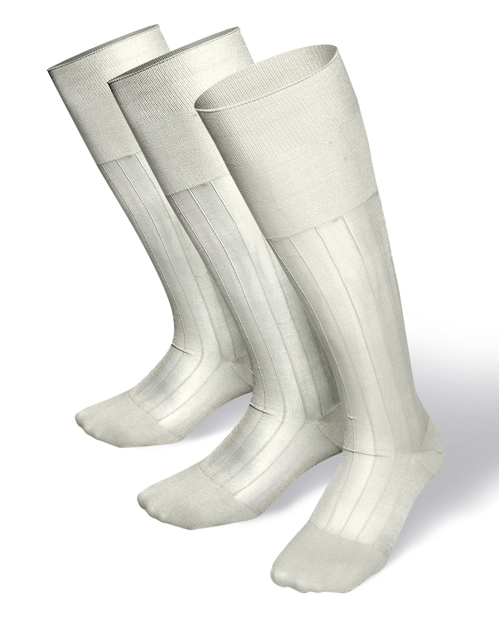 Vittorio Farina Men's Ribbed Shear Nylon Over The Calf Dress Socks