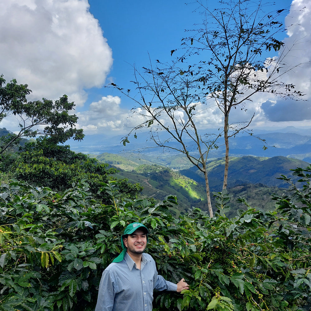 Honduran Espresso Blend Coffee 1.8oz (50g) Sample bag - Concordia Style Boutique