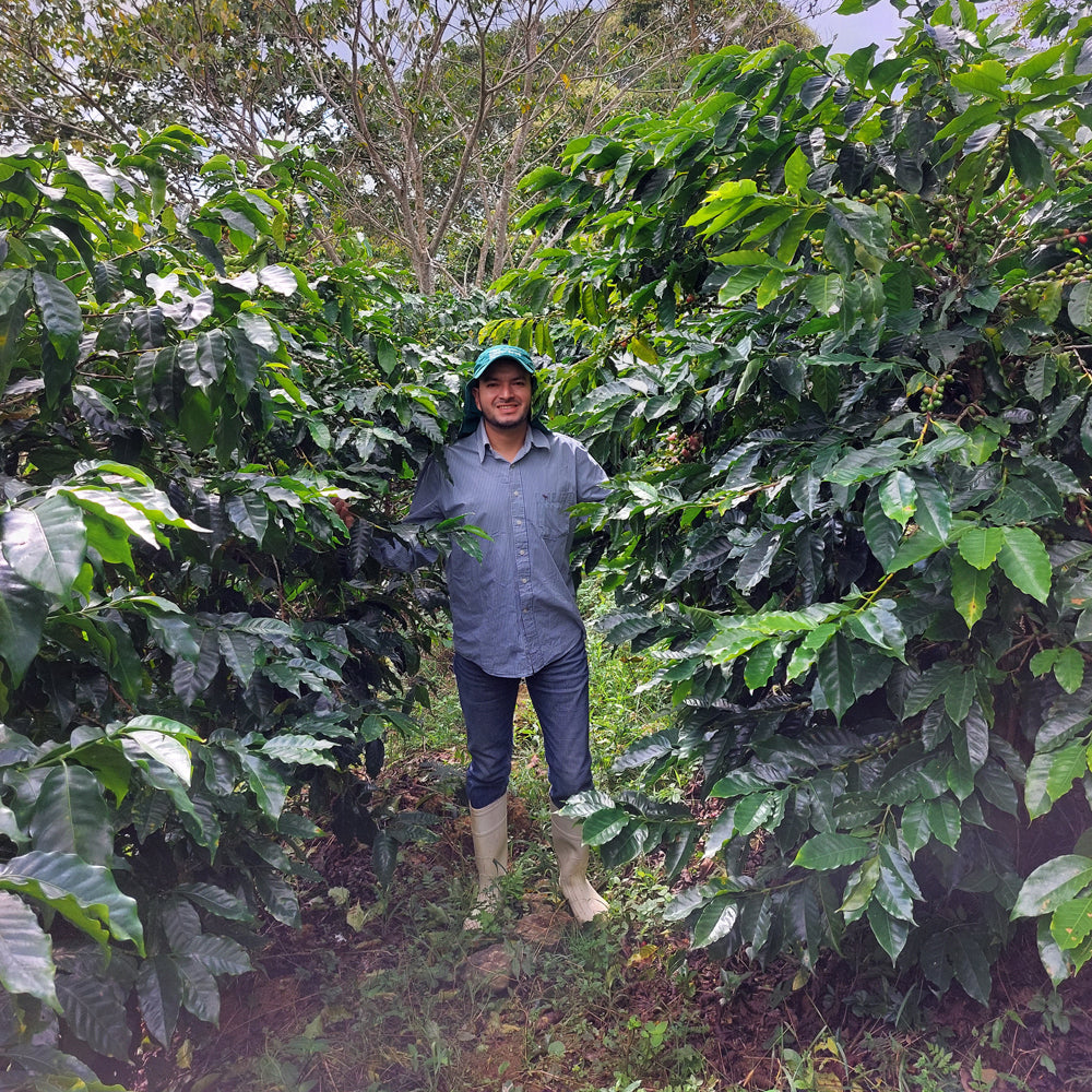 Honduran Espresso Blend Coffee 1.8oz (50g) Sample bag - Concordia Style Boutique