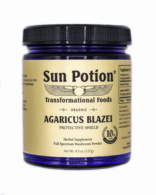 Agaricus Blazei (Organic) - Concordia Style Boutique