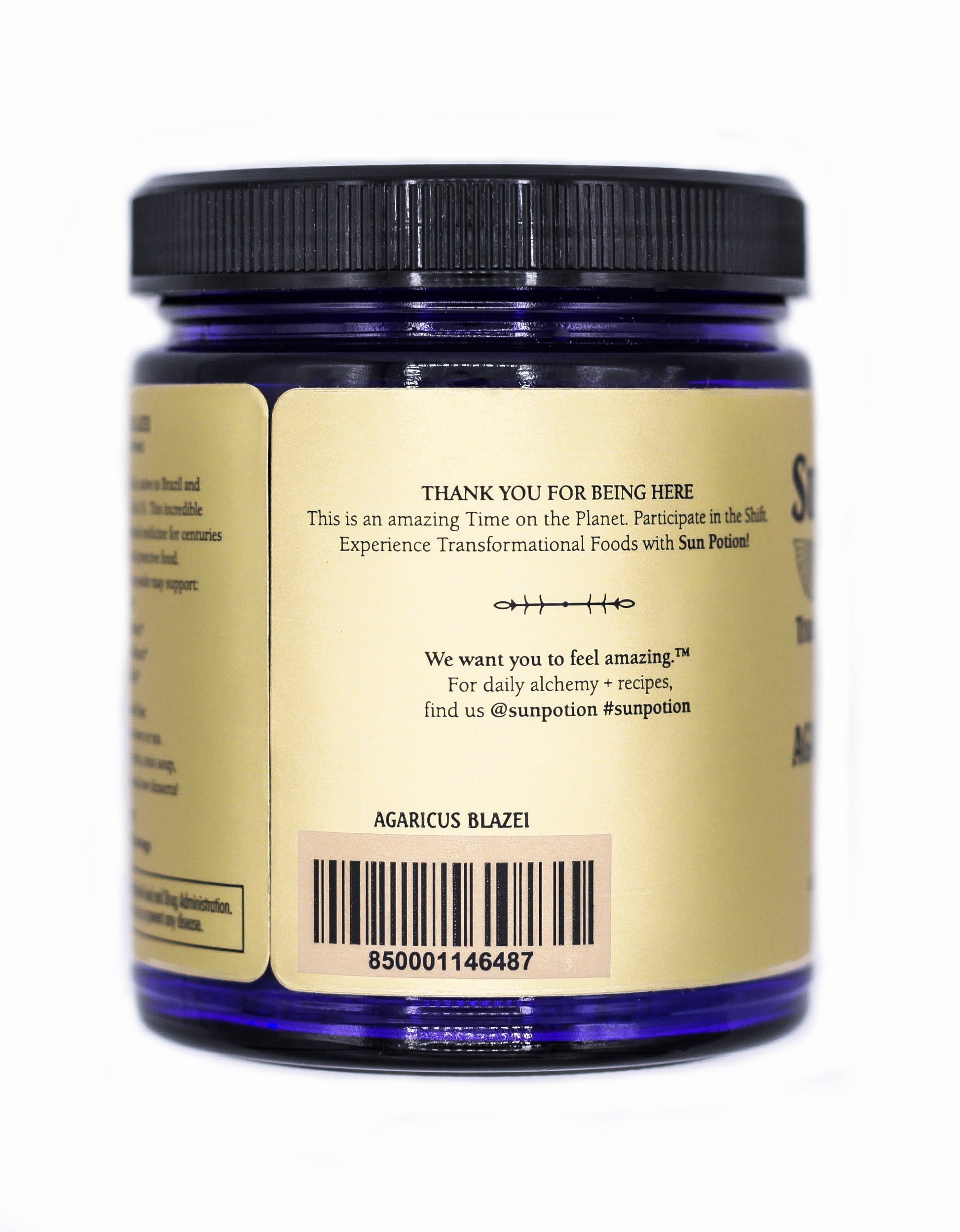 Agaricus Blazei (Organic) - Concordia Style Boutique