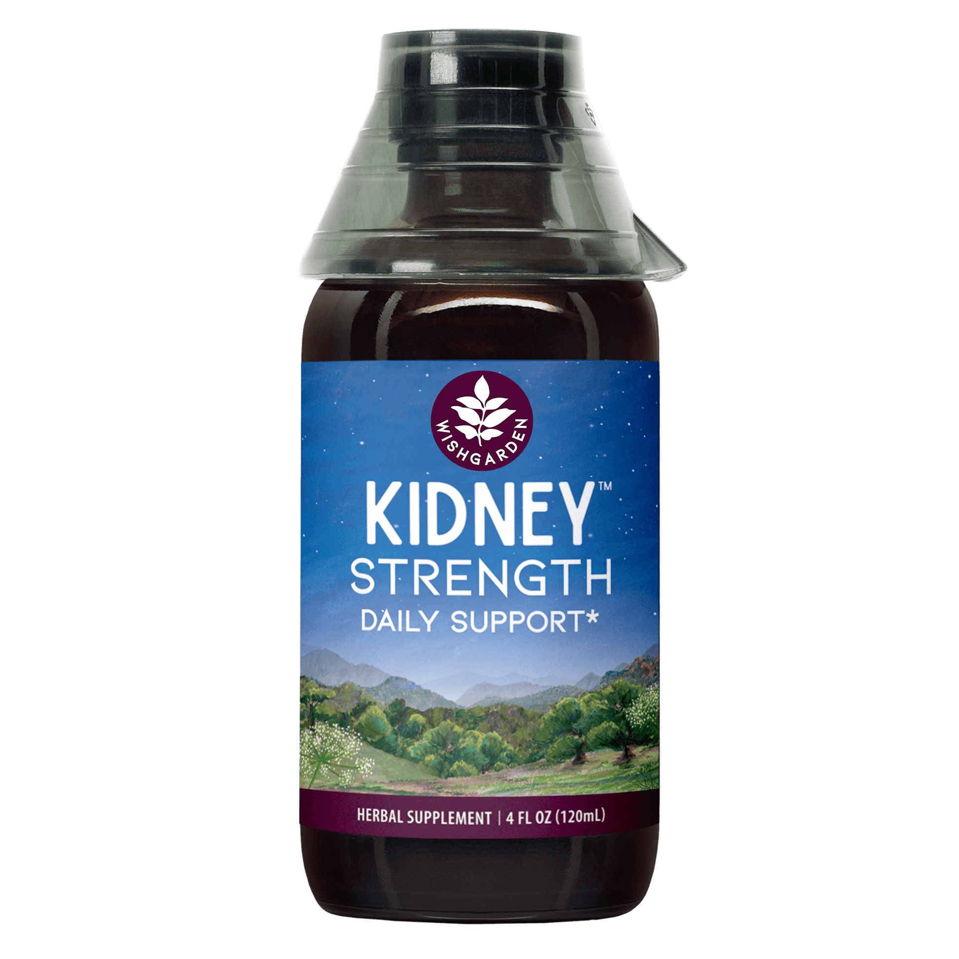 Kidney Strength Daily Support - Concordia Style Boutique