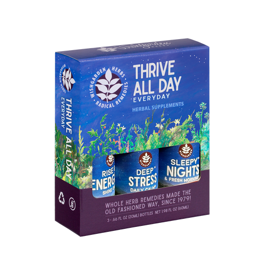 Thrive All Day 3-Pack - Concordia Style Boutique