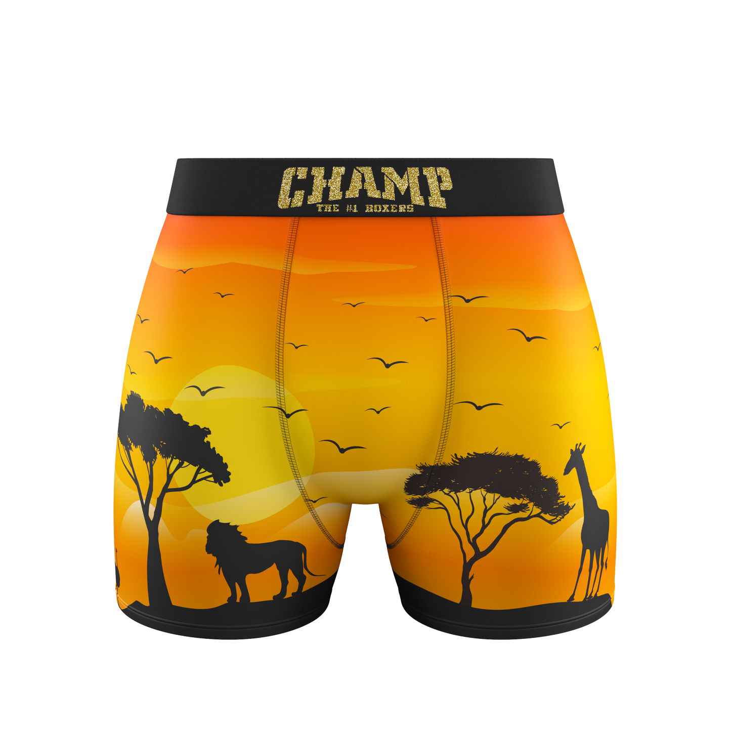 KingLion Edition (No Fly) - Concordia Style Boutique