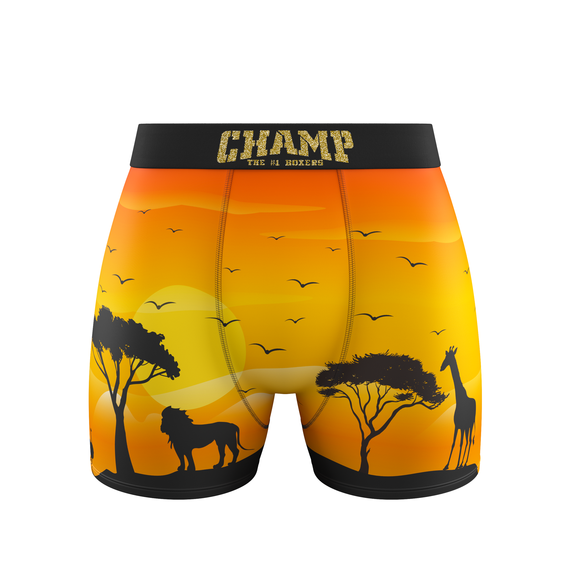 KingLion Edition (No Fly) - Concordia Style Boutique