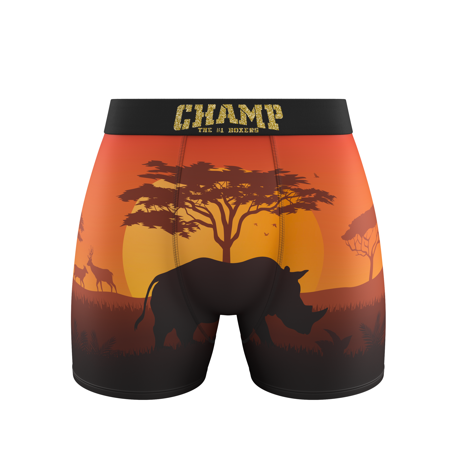 KingLion Edition (No Fly) - Concordia Style Boutique