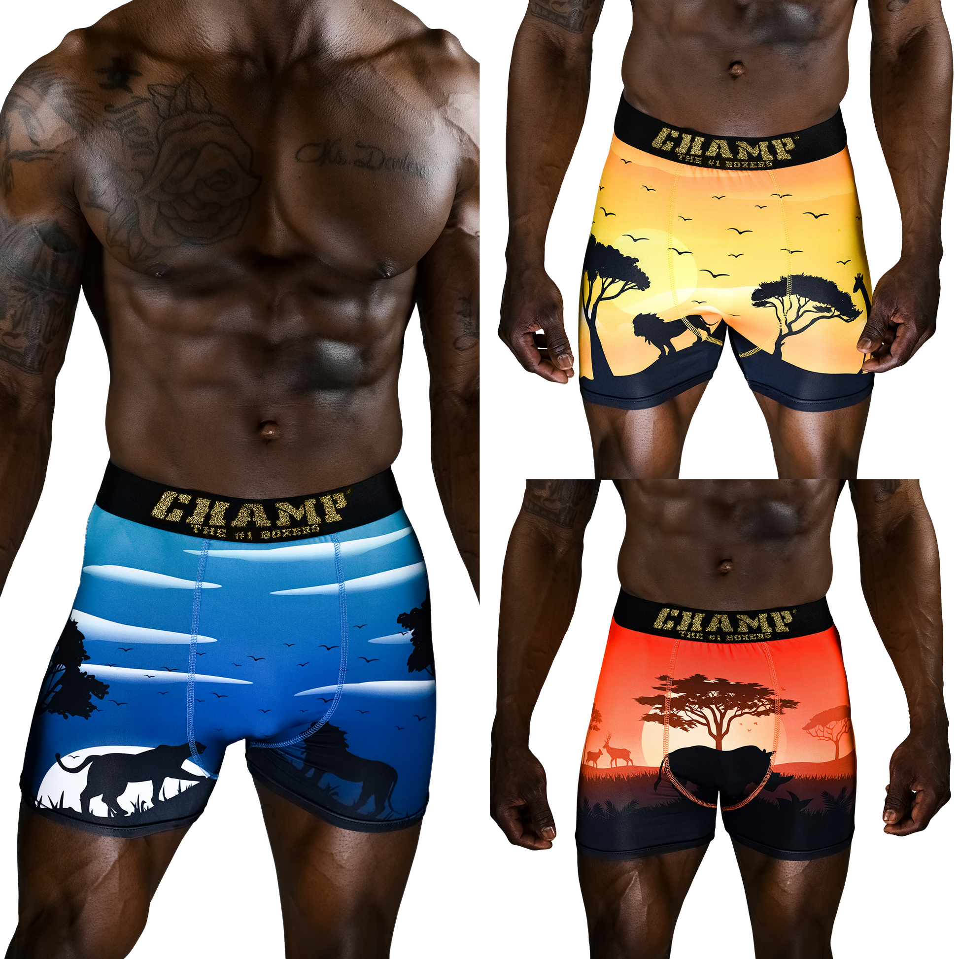 KingLion Edition (No Fly) - Concordia Style Boutique