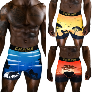 Descriptive image text