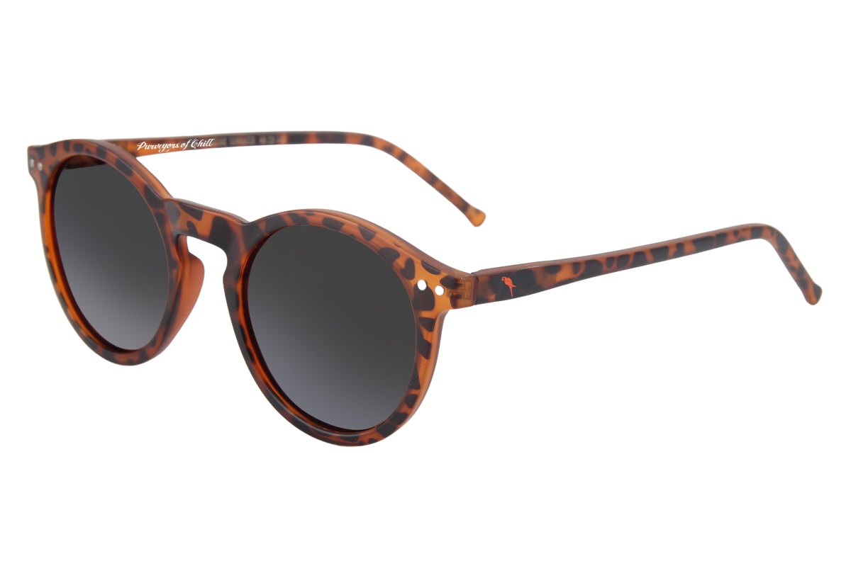 Latitudes - Concordia Style Boutique