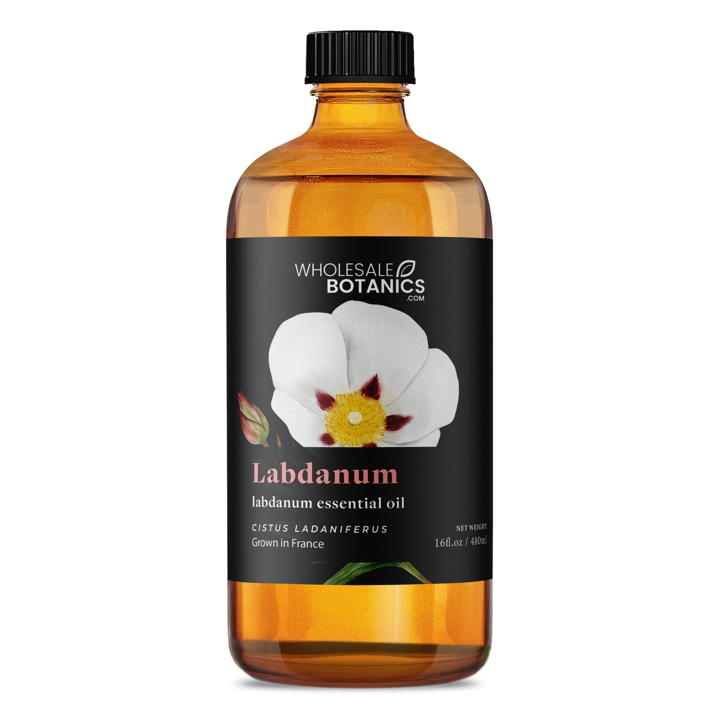 Labdanum Essential Oil