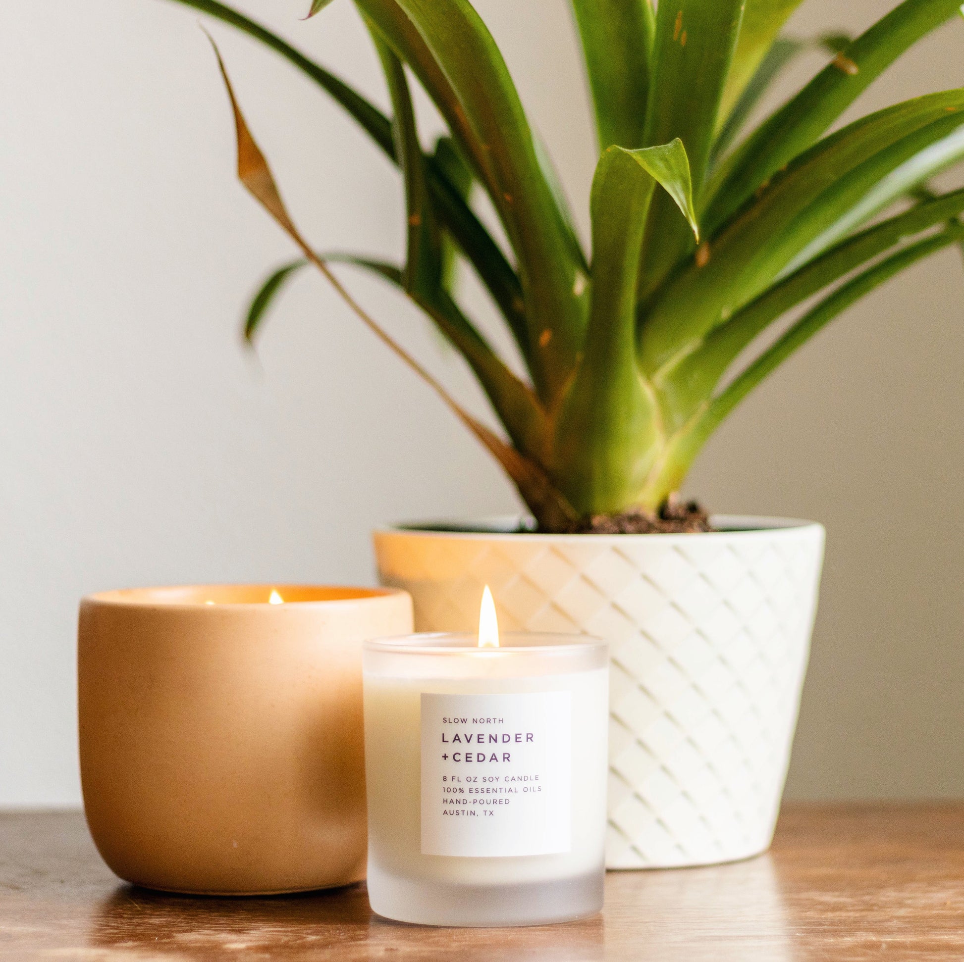 Lavender + Cedar - Signature Candle - Concordia Style Boutique