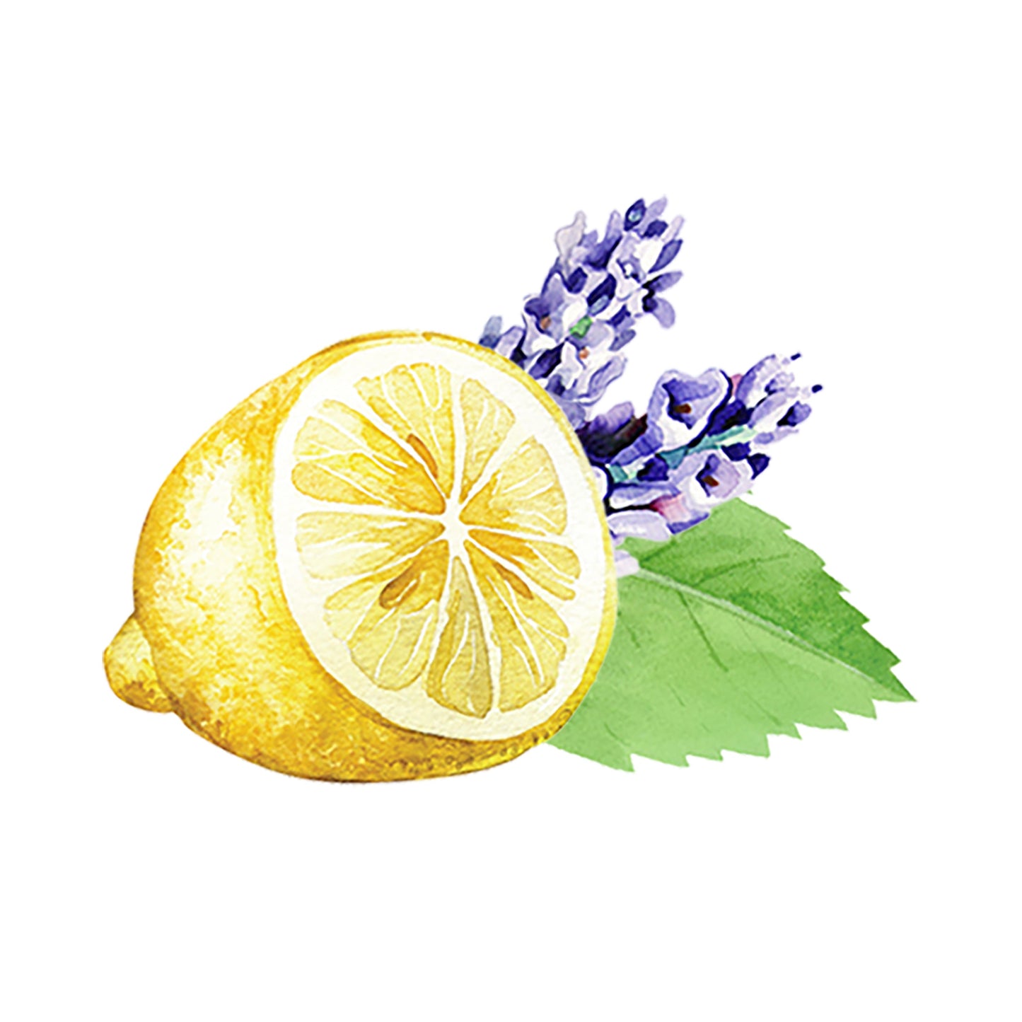 Lavender, Lemon & Mint Essential Oil Blend - Concordia Style Boutique