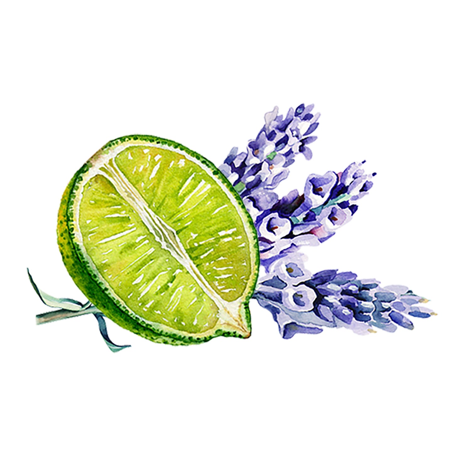 Lavender & Lime Essential Oil Blend - Concordia Style Boutique