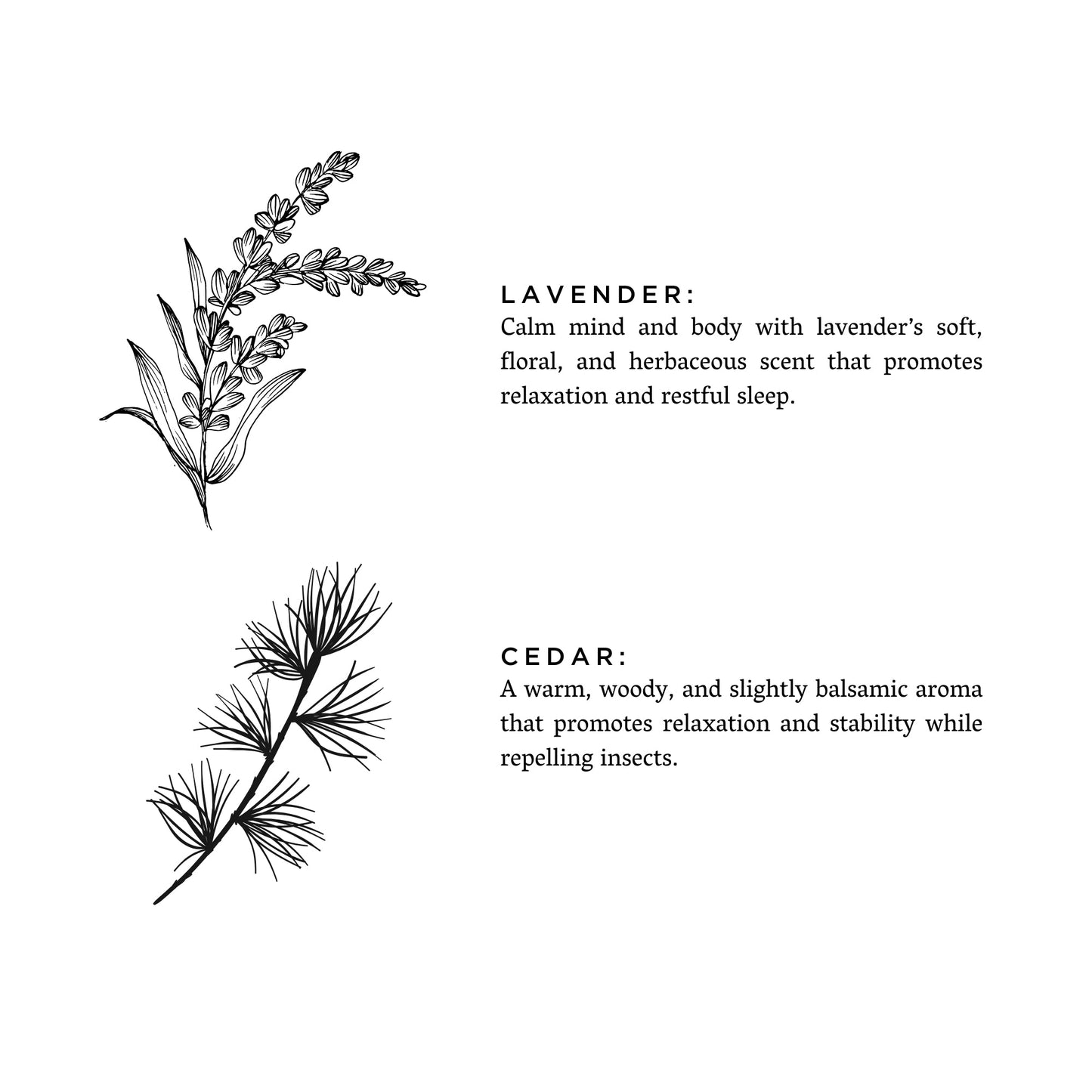 Lavender + Cedar - Signature Candle - Concordia Style Boutique