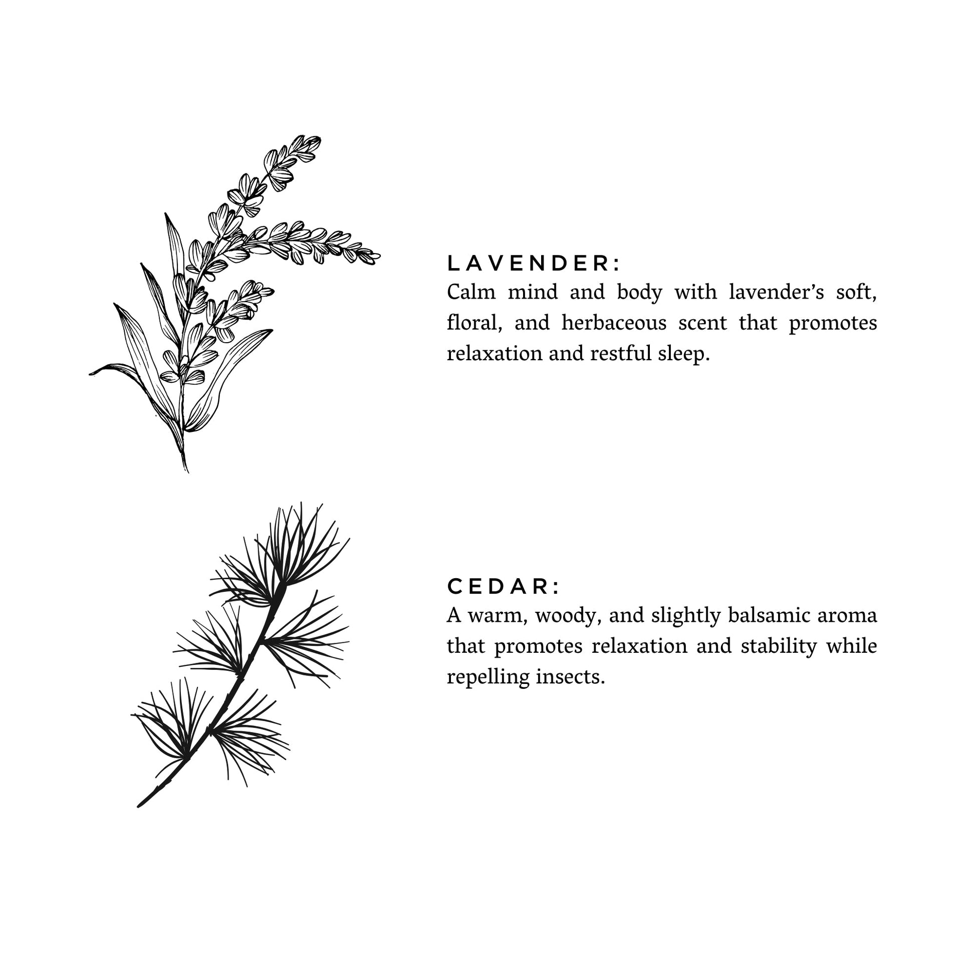 Lavender + Cedar - Signature Candle - Concordia Style Boutique