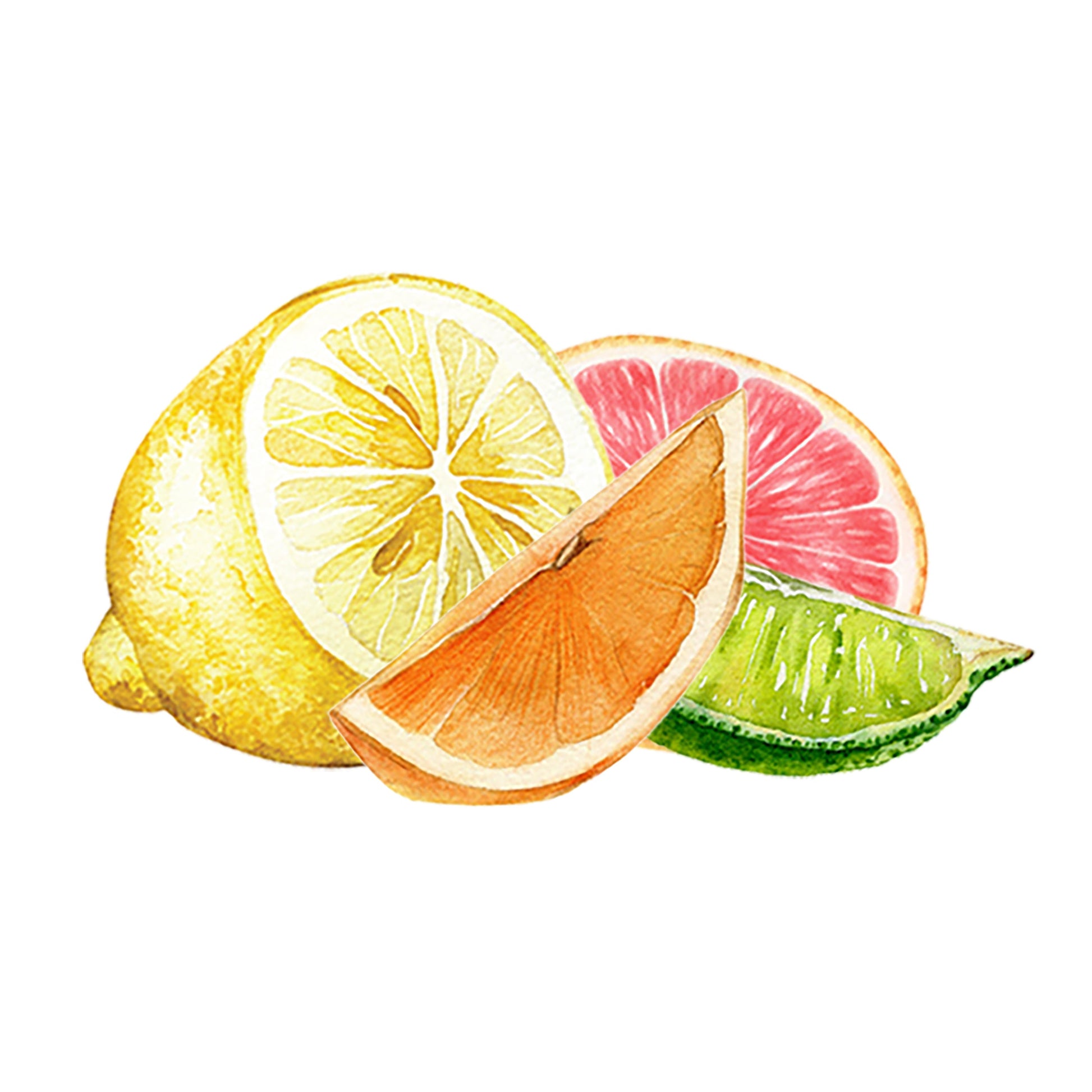Lemon, Orange, Grapefruit & Lime Essential Oil Blend - Concordia Style Boutique
