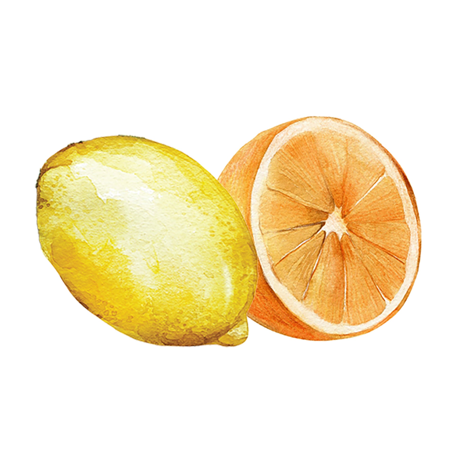 Lemon & Orange Essential Oil Blend - Concordia Style Boutique