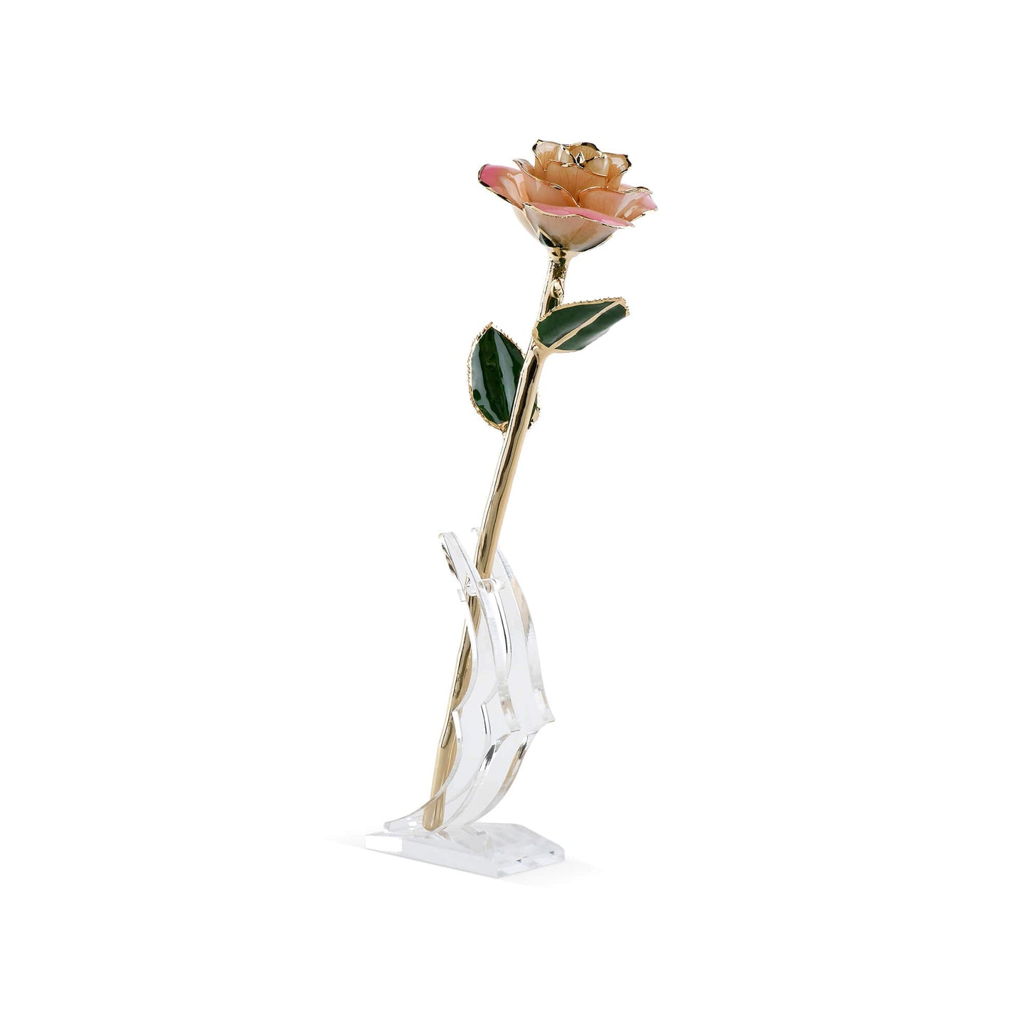 Timeless Rose (Light Pink) - Concordia Style Boutique