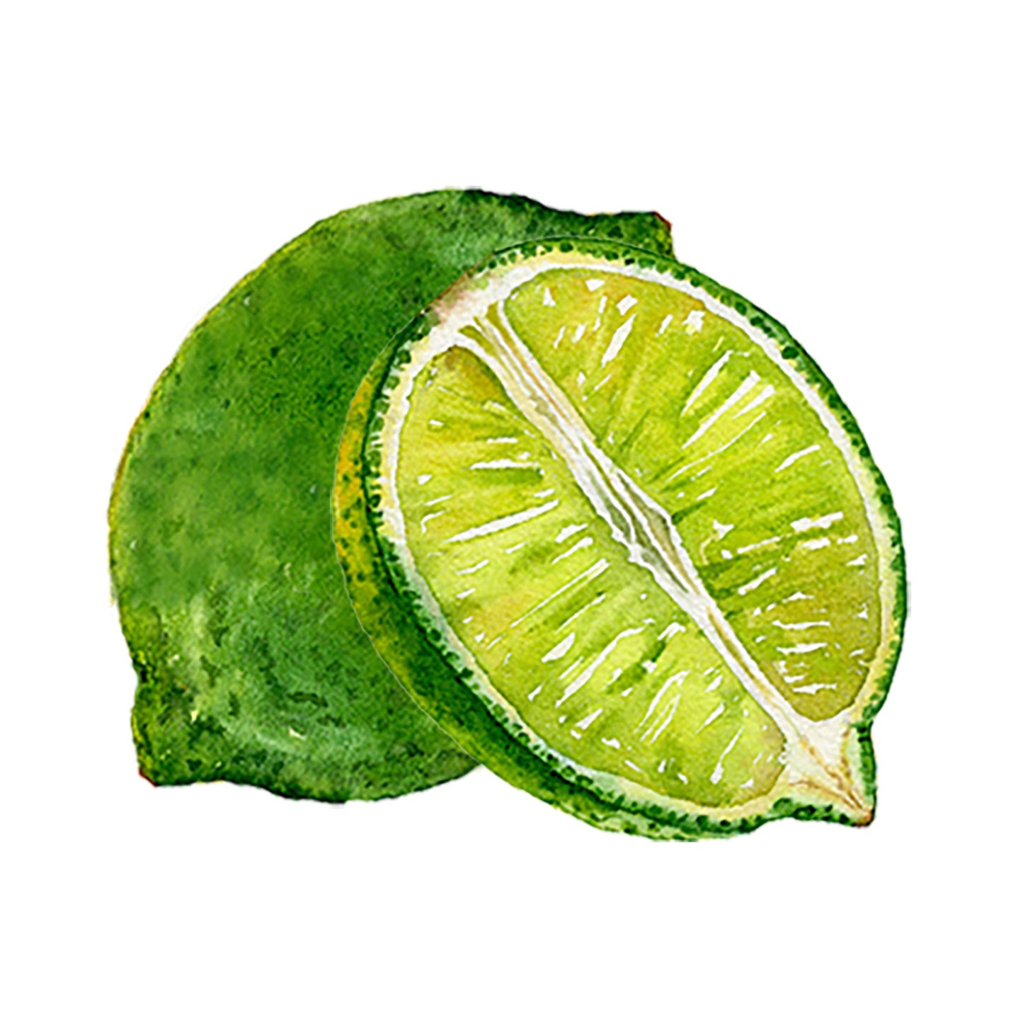 Lime Essential Oil - Concordia Style Boutique