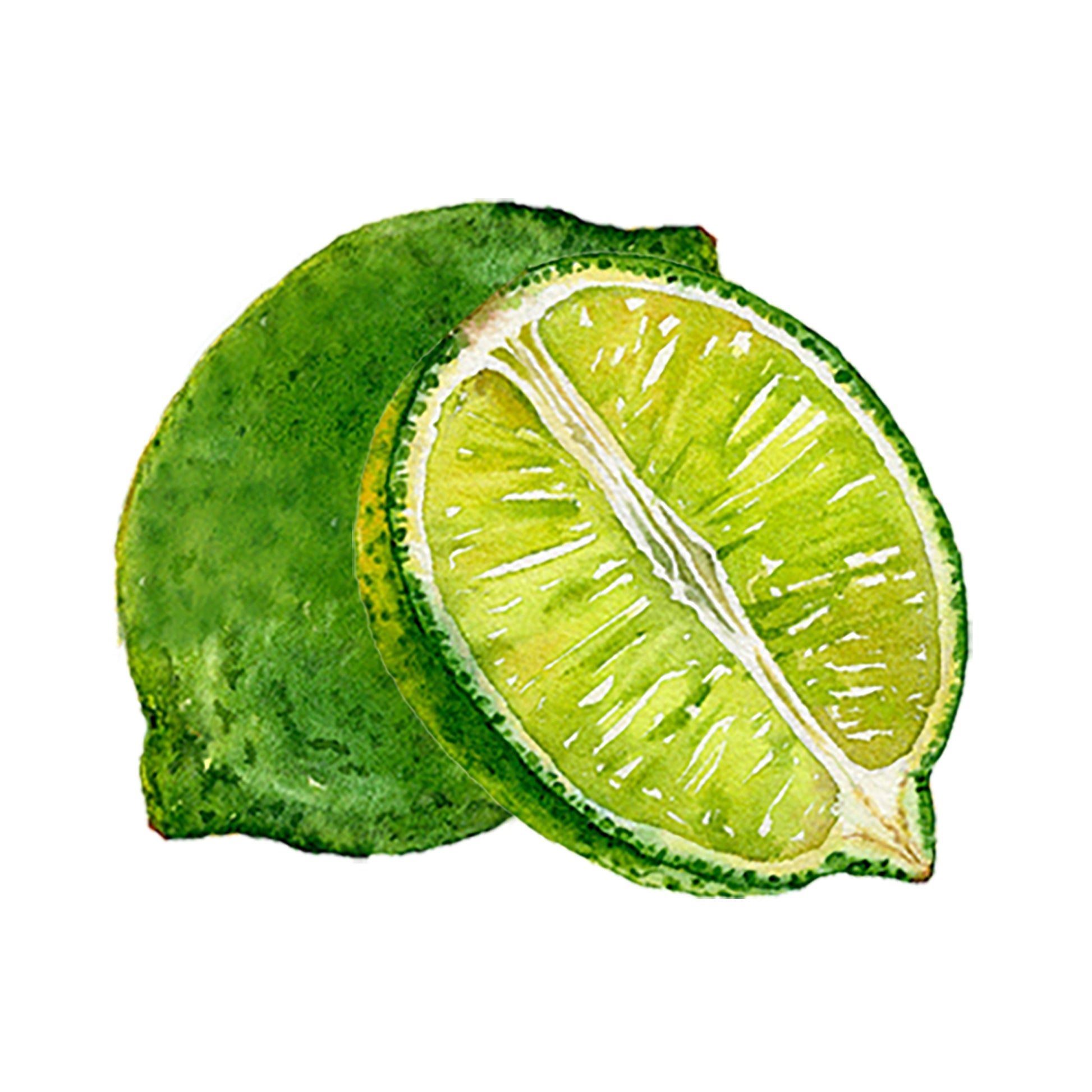 Lime Essential Oil - Concordia Style Boutique