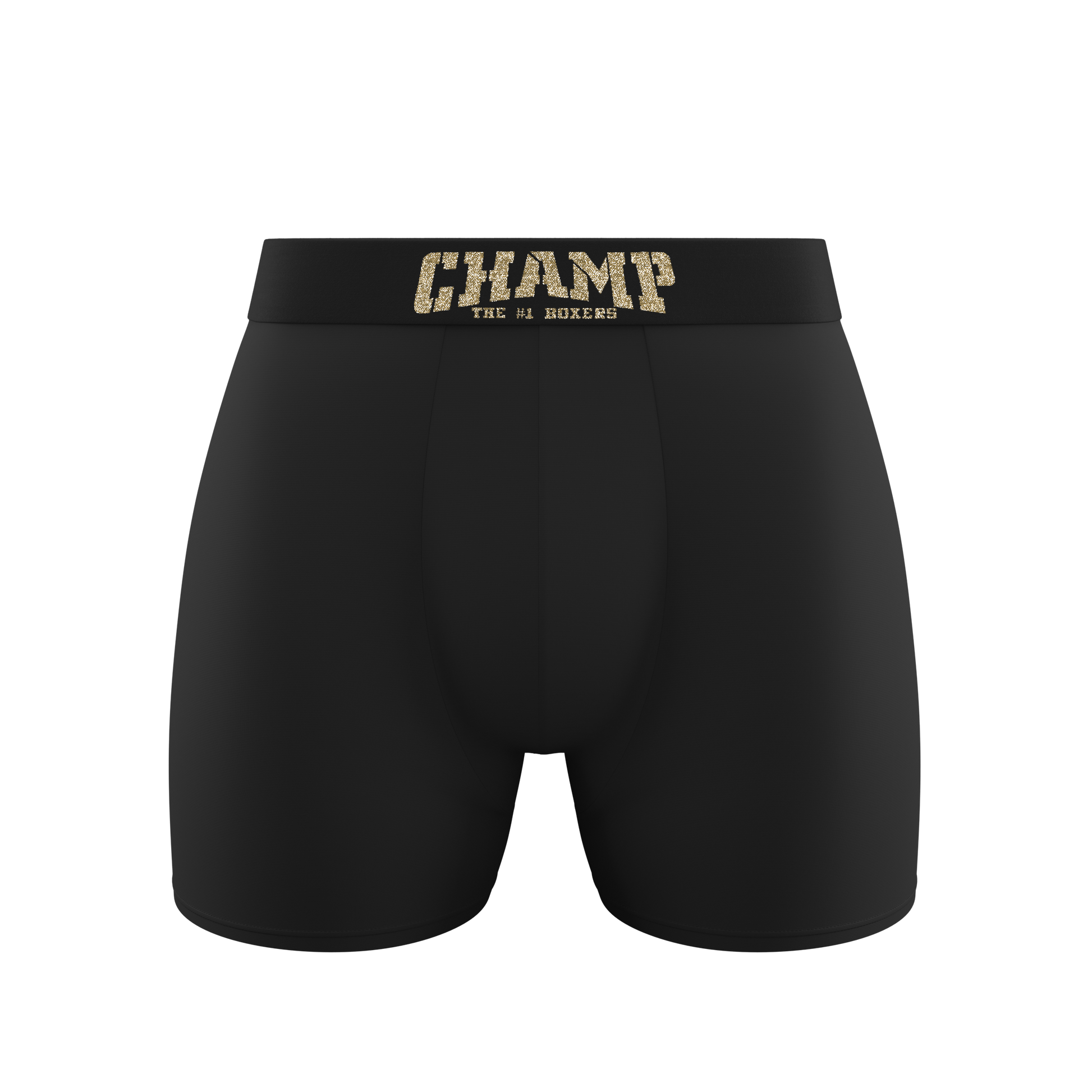 Limited Edition (Longer) (NO FLY) - Concordia Style Boutique