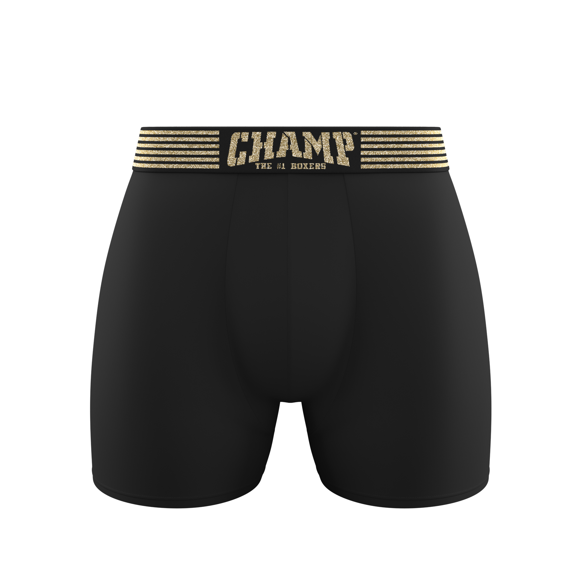 Limited Edition (Longer) (NO FLY) - Concordia Style Boutique