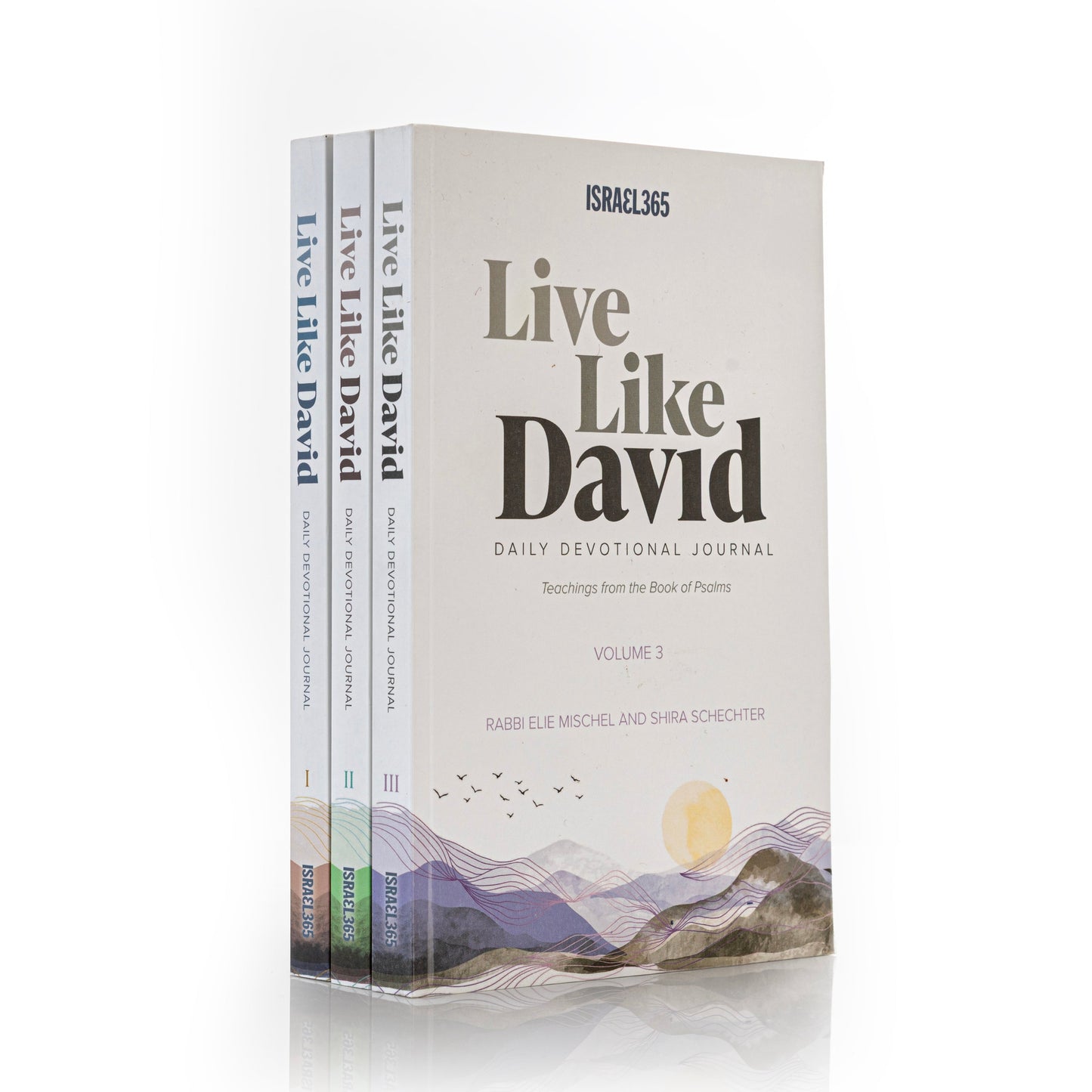 Live Like David - Daily Devotional Journal - 3 Volume Softcover Set