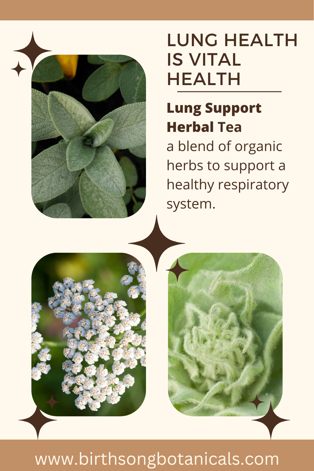 Lung Support Herbal Tea for Bronchial Wellness, Respiratory and Immune Support for Clear Breathing* 3 oz. - Concordia Style Boutique