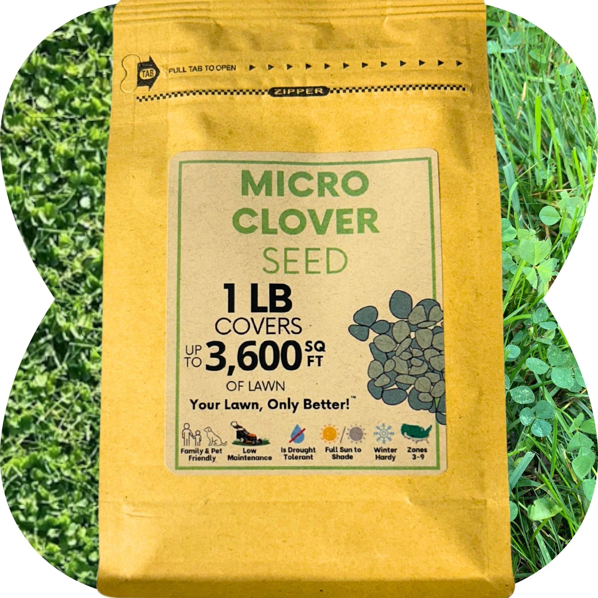 Micro Clover Seed - Concordia Style Boutique