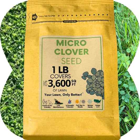 Micro Clover Seed - Concordia Style Boutique