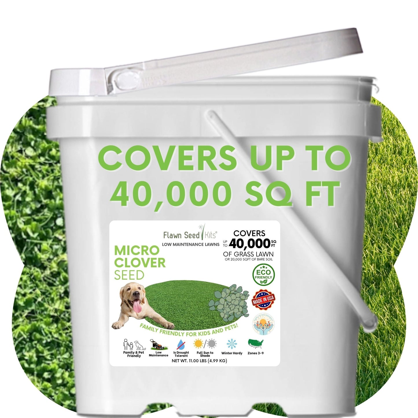 Micro Clover Seed - Concordia Style Boutique